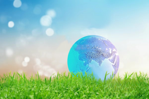 Mambobaby float's relationship with sustainable development