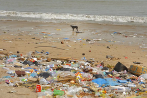 Mambobaby Floats Pioneering a Greener Future for Our Children