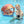 Cargar imagen en el visor de la galería, Mambobaby Air-Free Starfish Chest Float with 3D Canopy
