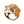 Laden Sie das Bild in den Galerie-Viewer, Mambobaby Infant Safety Headgear for Learning To Walk
